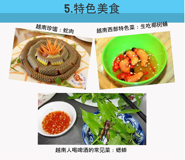 不一樣的越南:5張圖告訴你所不知道的越南