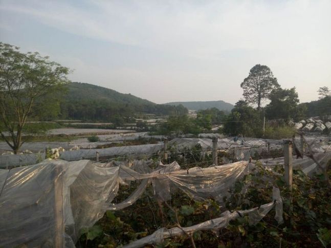 網絡媒體走轉改｜桂林全州：“紅＋綠”調出全面小康金色希望