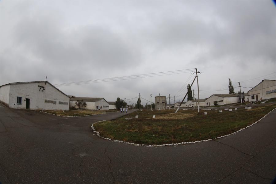 國家級境外經貿合作區“亞洲之星”帶動中吉農業合作