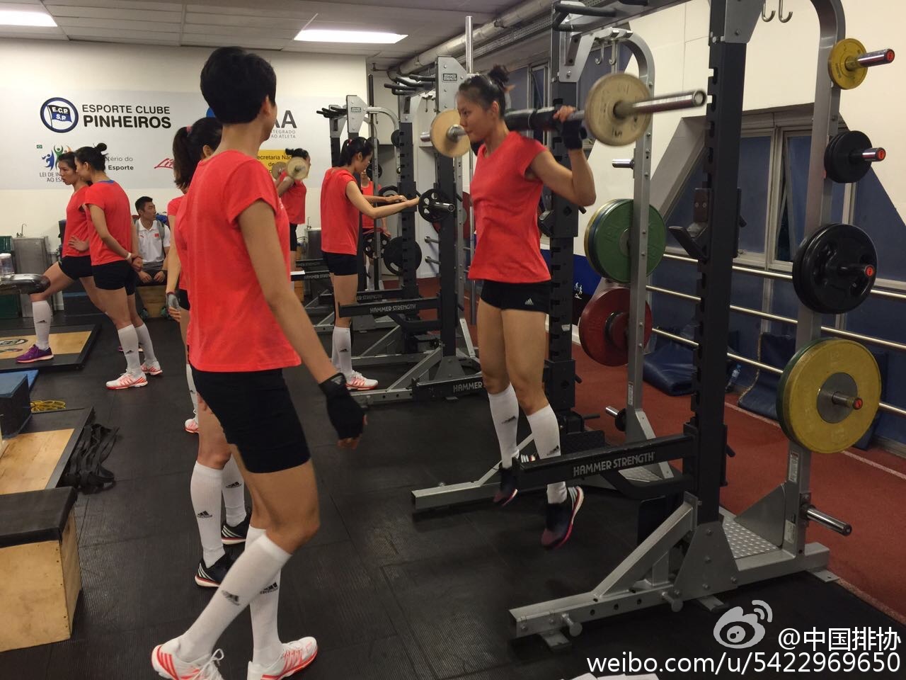 女排順利飛抵里約 圣保羅訓練營賽前忙備戰(zhàn)