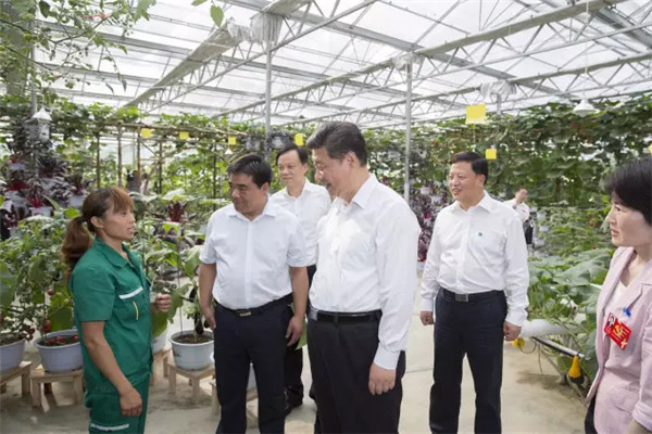 2015年，習總書記到過哪些地方？