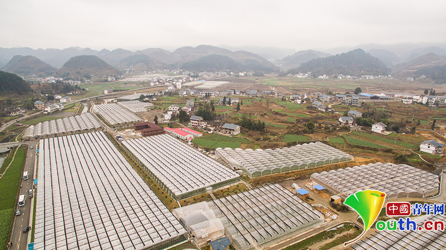 看花茂脫貧，習大大為何在這里找到了鄉愁