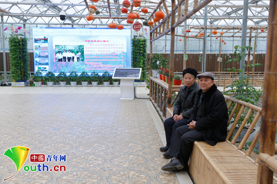 看花茂脫貧，習大大為何在這里找到了鄉愁