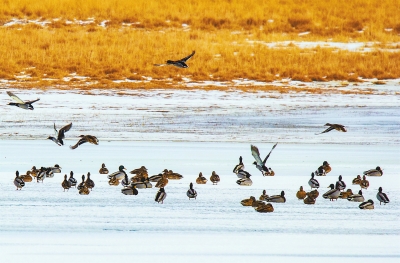 【治國(guó)理政新實(shí)踐·甘肅篇】青山綠水蘭州藍(lán) 繪出城市最美的顏色(圖)