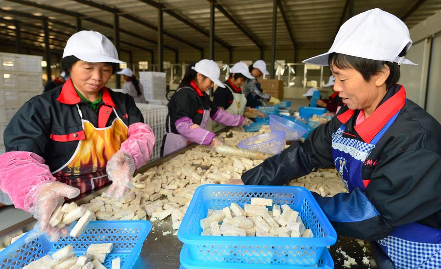 （治國理政新思想新實(shí)踐）實(shí)現(xiàn)復(fù)興偉業(yè)的行動(dòng)指南——中國特色社會(huì)主義理論體系最新成果述評