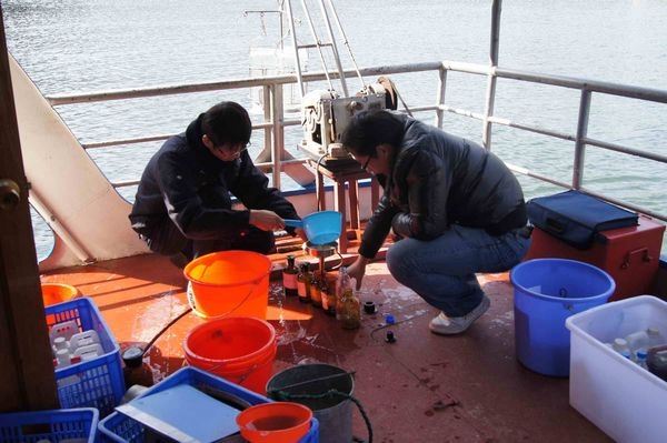 【治國理政新實踐·浙江篇】長三角從產業合作步入制度合作 攜手邁向世界級城市群