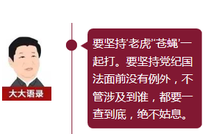 習(xí)大大捧紅的網(wǎng)絡(luò)熱詞，你知道幾個(gè)