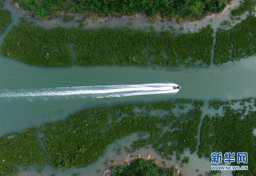 天空之眼瞰生態