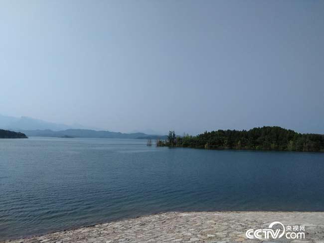 向退役軍人致敬！褪下戎裝，他們還是那個兵！