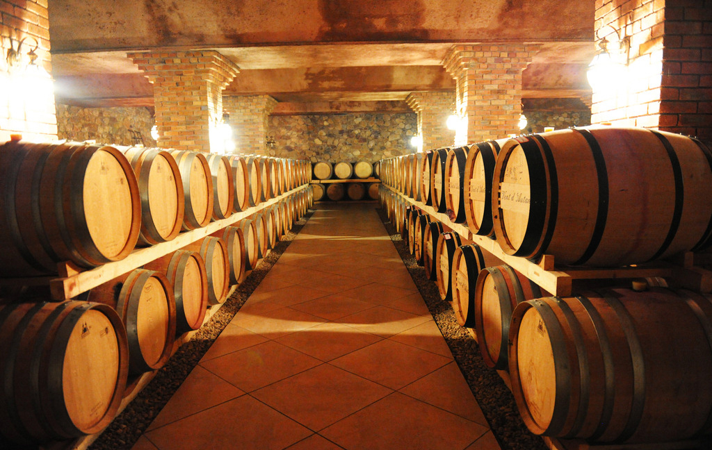 跟隨習主席的腳步，一起到阿根廷看一看！