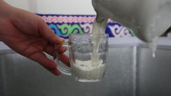 【新時代·幸福美麗新邊疆】從交通工具到渾身是寶 新疆駱駝走上產業發展之路