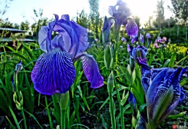 【新時(shí)代·幸福美麗新邊疆】隱匿在大山中的村落 是畫(huà)家眼中的“世外桃源”