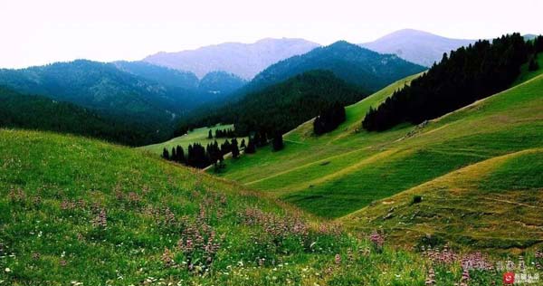 【新時(shí)代·幸福美麗新邊疆】隱匿在大山中的村落 是畫(huà)家眼中的“世外桃源”