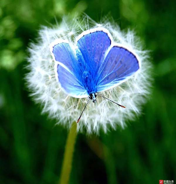 【新時(shí)代·幸福美麗新邊疆】隱匿在大山中的村落 是畫(huà)家眼中的“世外桃源”