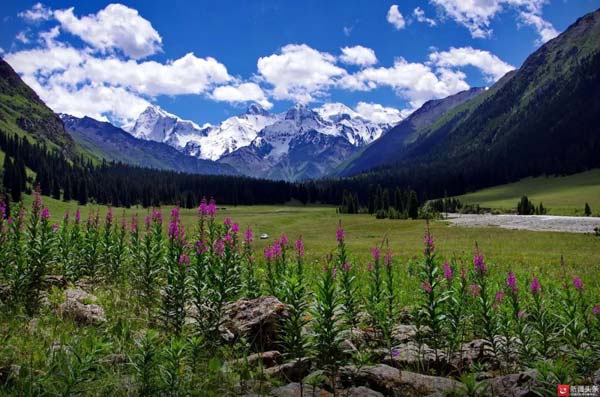 【新時(shí)代·幸福美麗新邊疆】隱匿在大山中的村落 是畫(huà)家眼中的“世外桃源”
