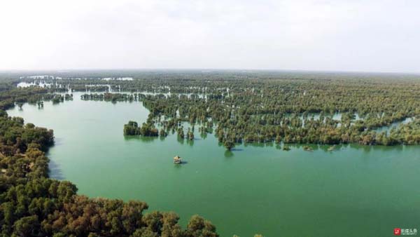 【新時(shí)代·幸福美麗新邊疆】隱匿在大山中的村落 是畫(huà)家眼中的“世外桃源”