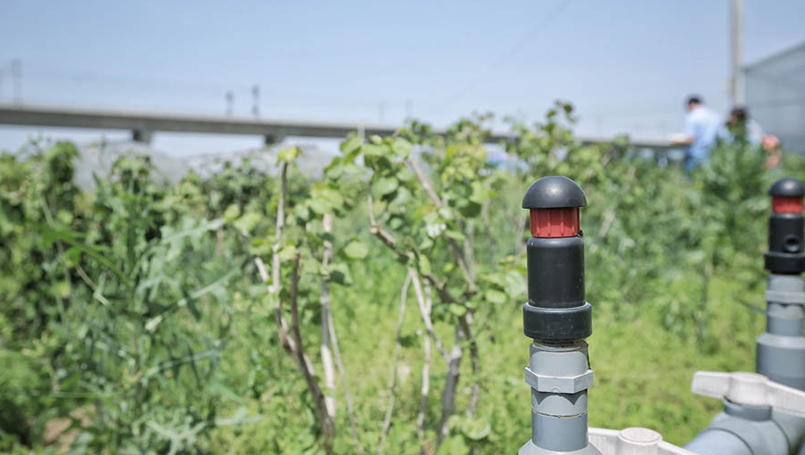 節水，智能，成本低，農業灌溉系統也可以很酷