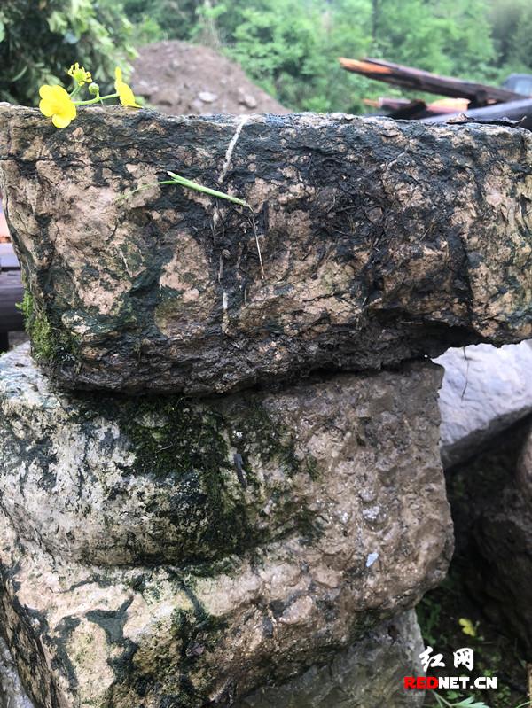 【英雄烈士譜】王爾琢：革命不成功，不剃頭、不刮胡子！