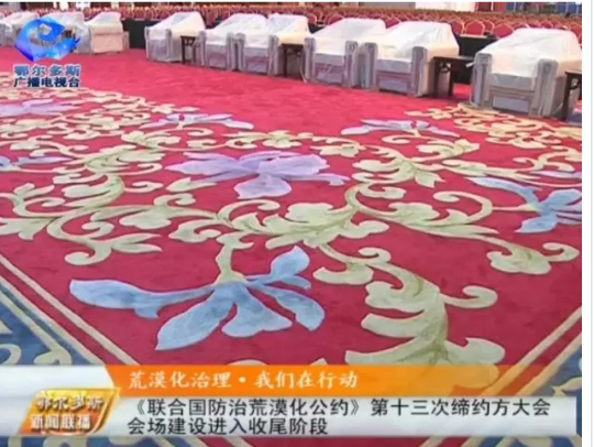 探秘《聯(lián)合國防治荒漠化公約》第十三次締約方大會(huì)會(huì)場