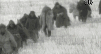 英國小哥到河北塞罕壩避暑，竟意外收獲了一個美麗的故事丨好運中國