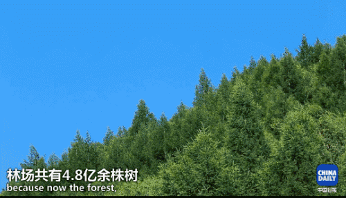 英國小哥到河北塞罕壩避暑，竟意外收獲了一個美麗的故事丨好運中國