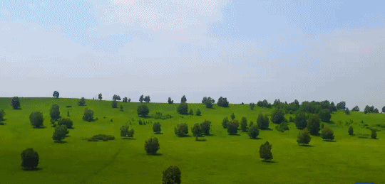 英國小哥到河北塞罕壩避暑，竟意外收獲了一個美麗的故事丨好運中國