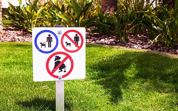 遛狗不清理便便?西班牙DNA驗(yàn)狗糞追責(zé)