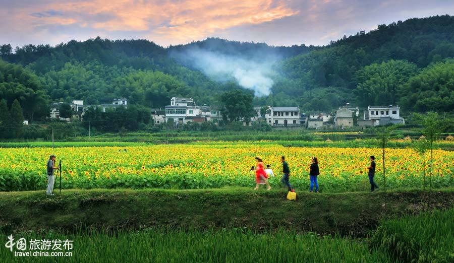 行攝古徽州域名唯一傳承地:品味“無(wú)夢(mèng)到徽州”