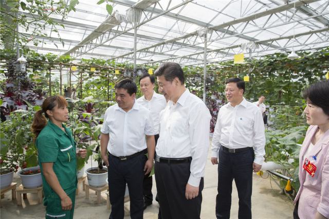 2015年,習近平總書記到過哪些地方?