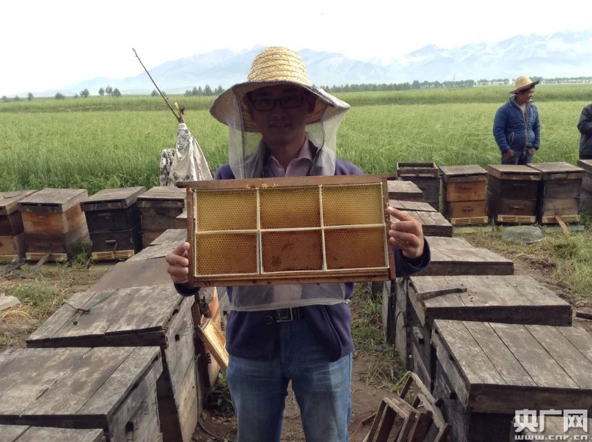 [網絡媒體走轉改]小伙深圳辭職行走田間創業 “互聯網+農業”他愿田間守黃金