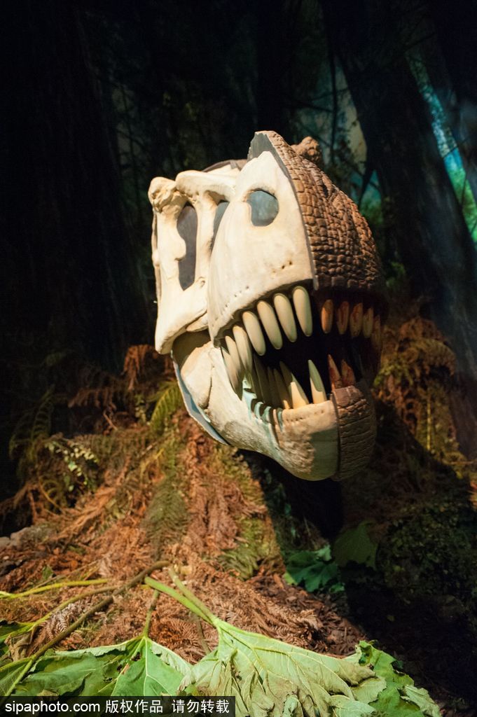 英國恐龍展超逼真 彷佛回到侏羅紀