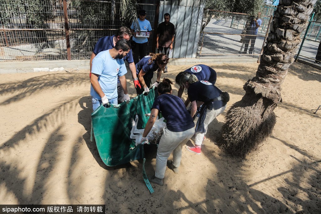 全球最慘動物園永久關閉