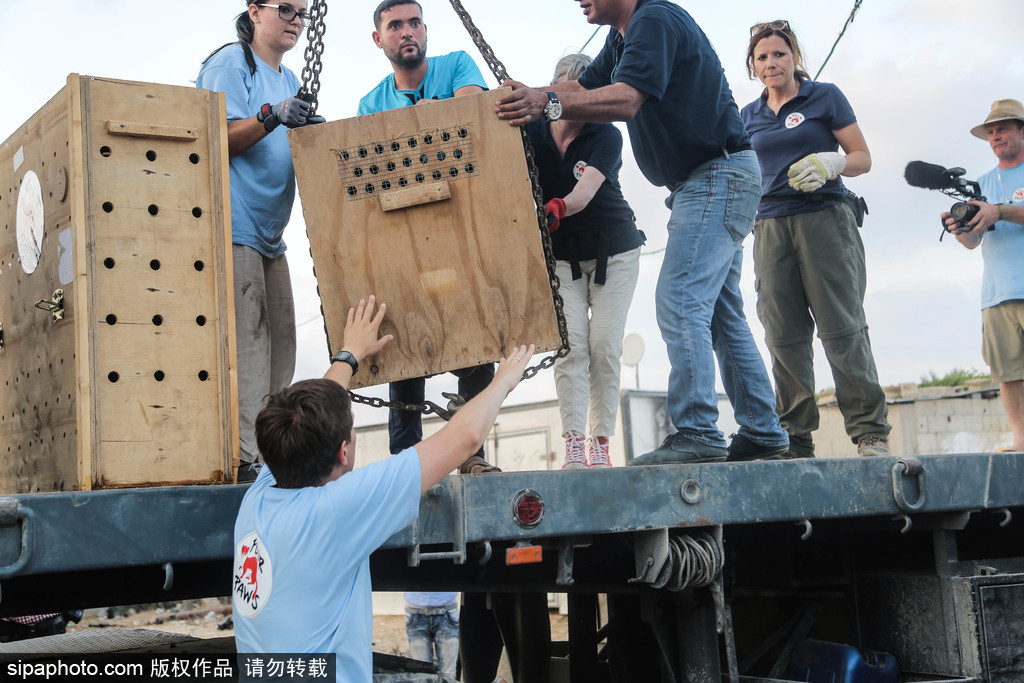 全球最慘動物園永久關閉