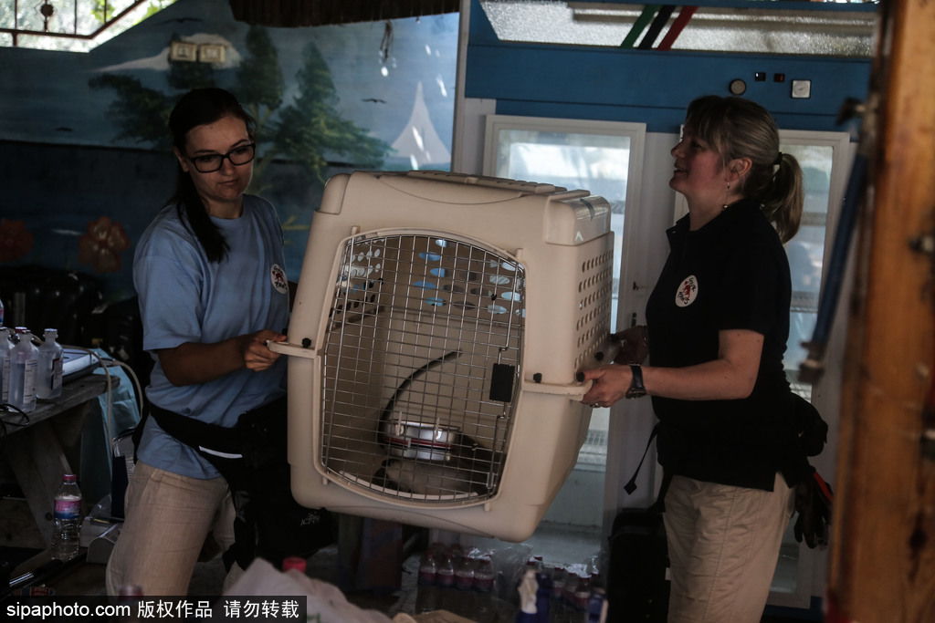 全球最慘動(dòng)物園永久關(guān)閉