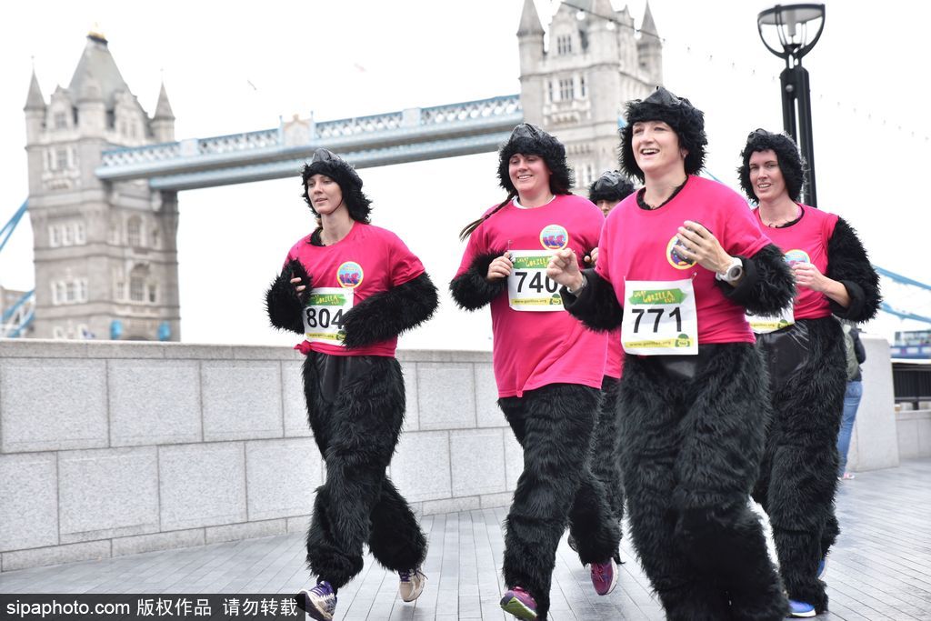 英國(guó)舉辦“大猩猩”慈善跑 人扮猩猩獻(xiàn)愛心募款