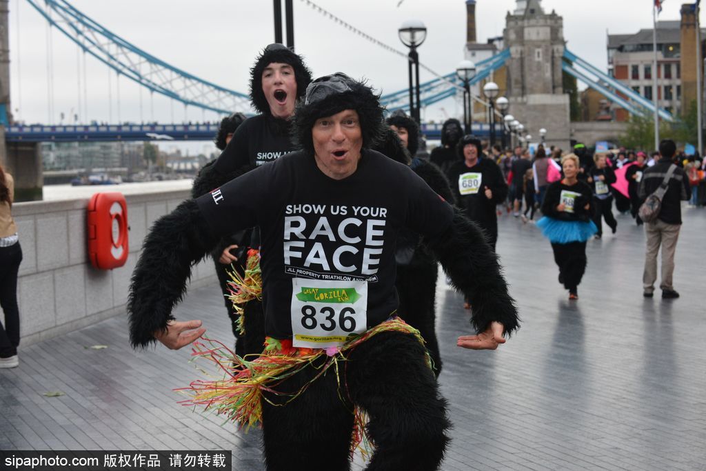 英國(guó)舉辦“大猩猩”慈善跑 人扮猩猩獻(xiàn)愛心募款