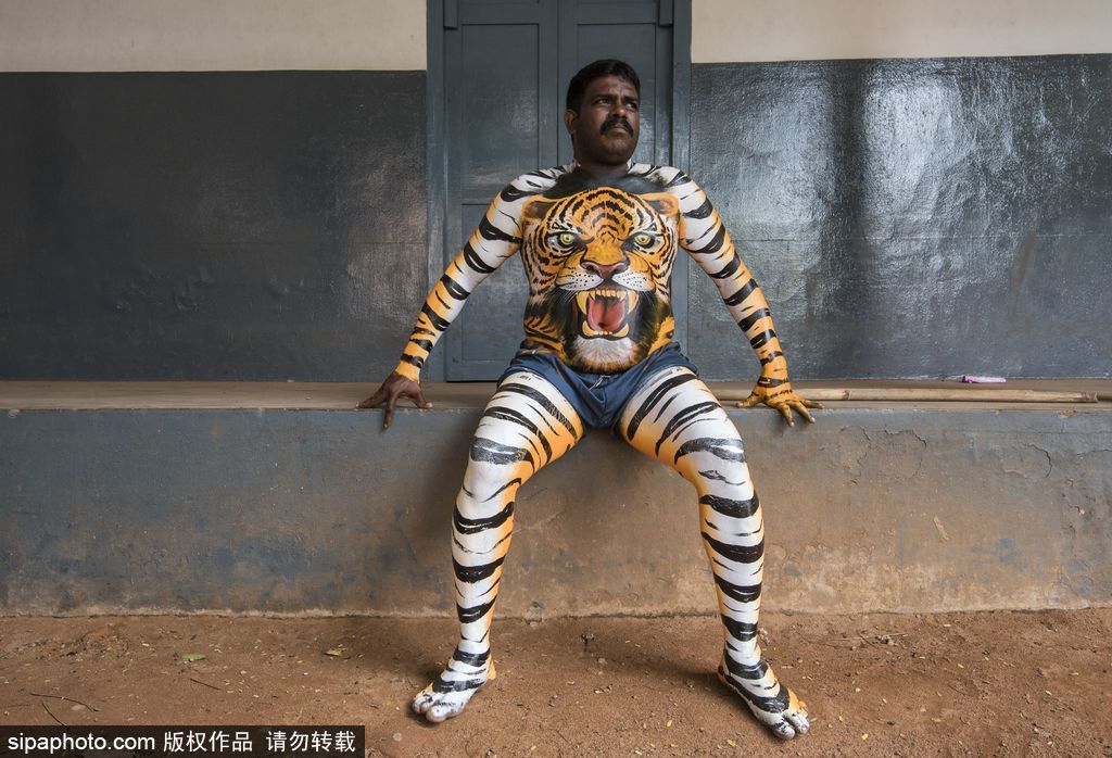 印度傳統(tǒng)虎舞的臺前幕后 表演者用顏料涂滿全身化身“猛虎”