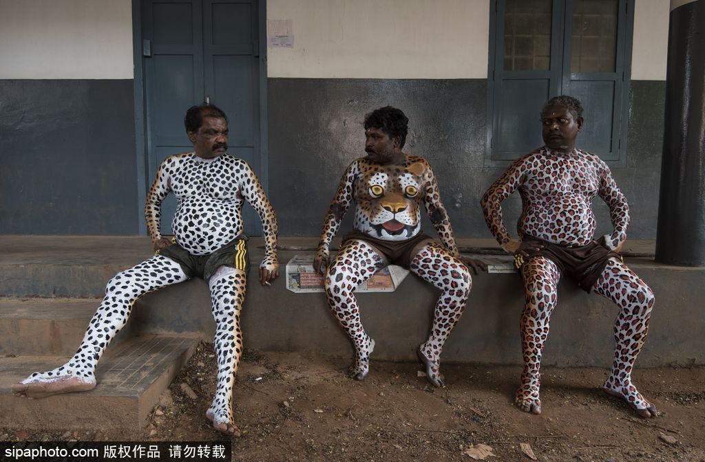 印度傳統(tǒng)虎舞的臺(tái)前幕后 表演者用顏料涂滿全身化身“猛虎”