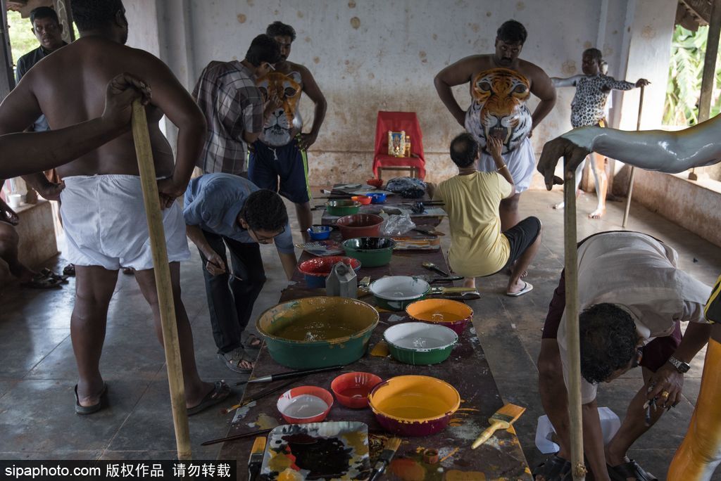 印度傳統虎舞的臺前幕后 表演者用顏料涂滿全身化身“猛虎”