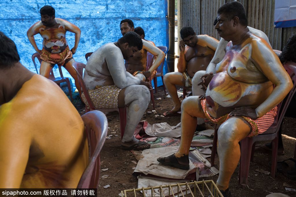 印度傳統虎舞的臺前幕后 表演者用顏料涂滿全身化身“猛虎”