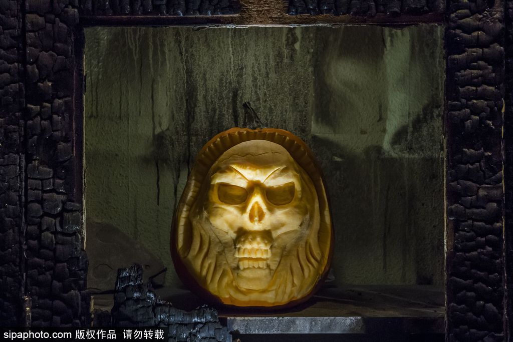 英國：萬圣節(jié)最新流行人臉南瓜 特朗普希拉里“上鏡”