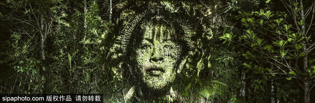 巴西熱帶雨林的投影 攝影師打造震撼光影涂鴉提倡環保