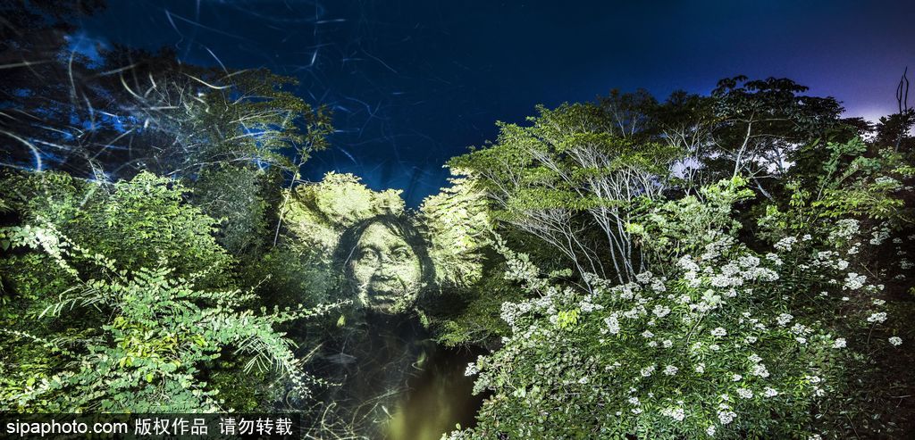 巴西熱帶雨林的投影 攝影師打造震撼光影涂鴉提倡環保