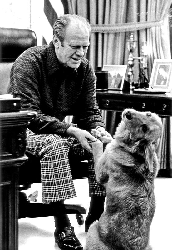 盤點(diǎn)入住白宮的歷任“第一狗狗”