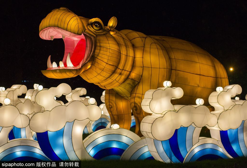 英國超大規(guī)模中國巨型燈籠會 豐富動物造型燈飾亮相