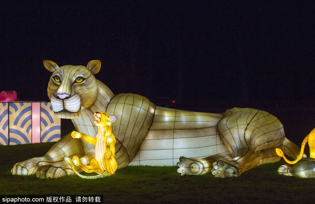 英國超大規(guī)模中國巨型燈籠會(huì) 豐富動(dòng)物造型燈飾亮相