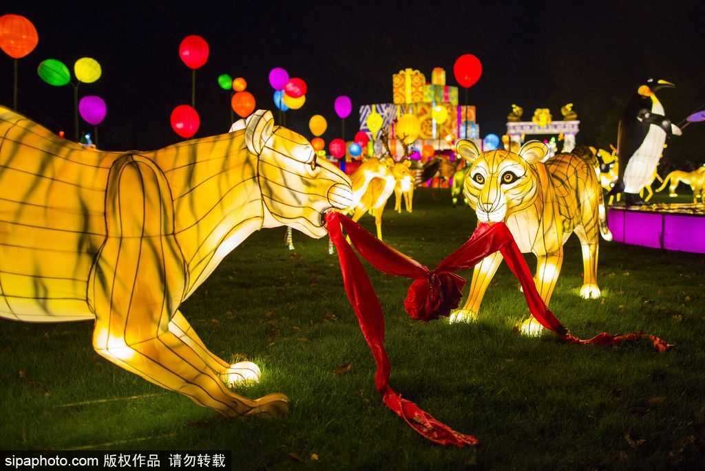 英國(guó)超大規(guī)模中國(guó)巨型燈籠會(huì) 豐富動(dòng)物造型燈飾亮相