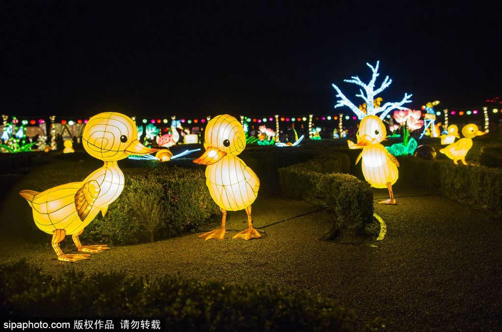 英國超大規模中國巨型燈籠會 豐富動物造型燈飾亮相