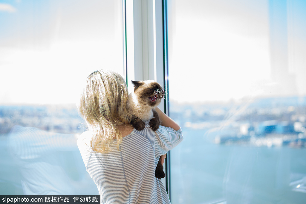 每只喵都是有故事的 貓界“網紅”呆萌瞬間