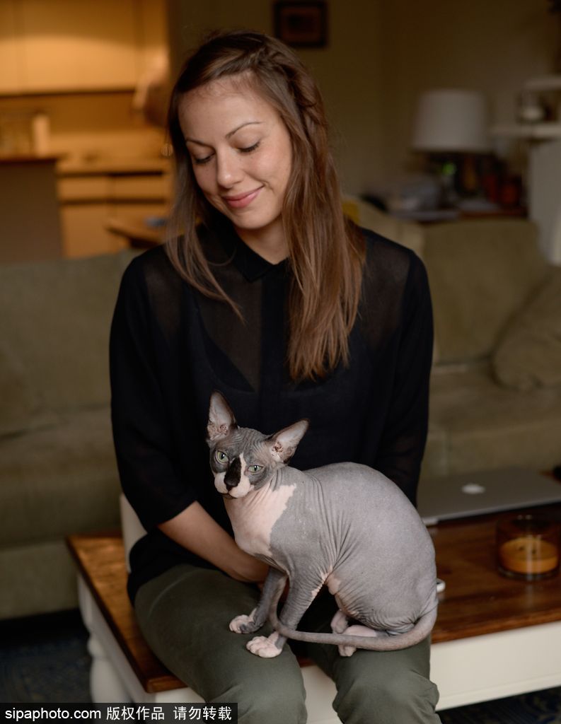 每只喵都是有故事的 貓界“網紅”呆萌瞬間